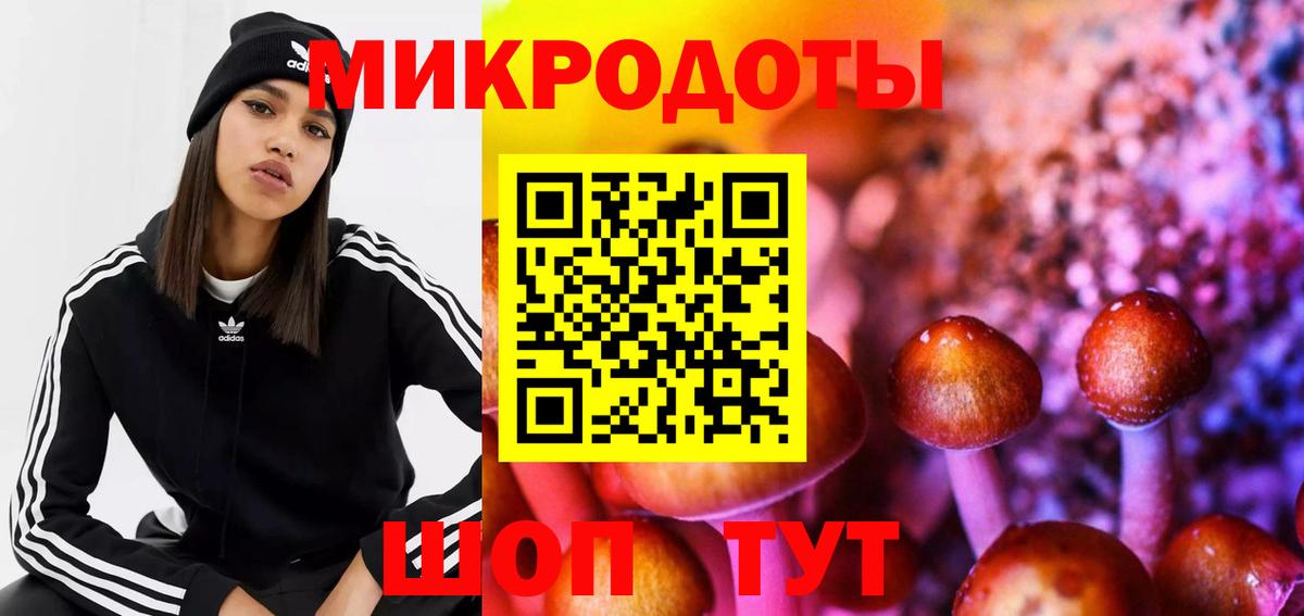 наркошоп  Галлюциногенные грибы Magic Shrooms  Вход с VPN  Электрогорск 